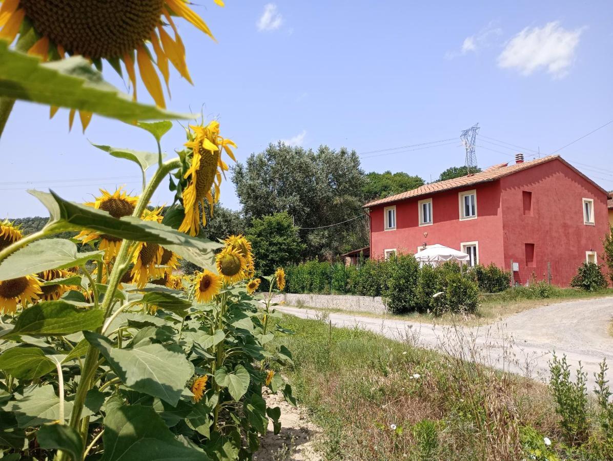 Bed and Breakfast La Casa Rossa Coiano Exterior foto